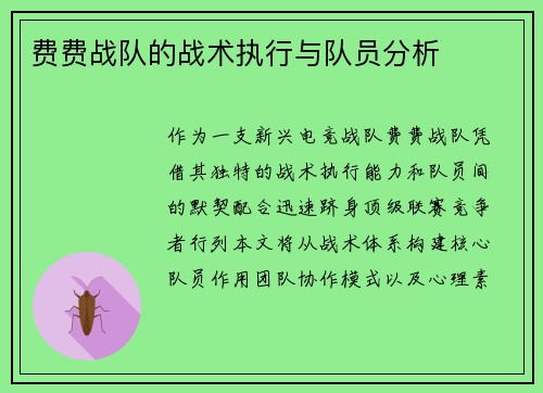 费费战队的战术执行与队员分析