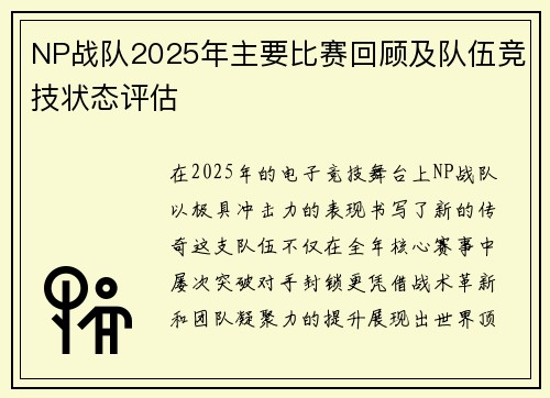 NP战队2025年主要比赛回顾及队伍竞技状态评估